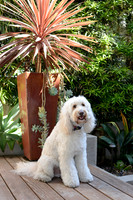057 Smitheran Family Portraits