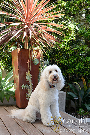 057 Smitheran Family Portraits
