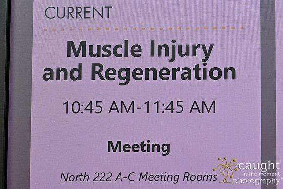 683 Annual Meeting 2025 Phoenix Convention Center