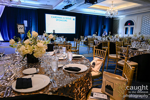 029 Foundation Gala 2024