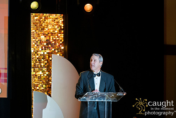 318 Imagine Gala 2024