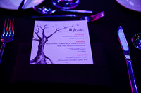 007 NPC Awards Gala 2025 Phoenix