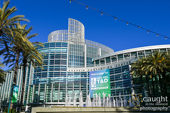 005 IEEE PES TandD Anaheim 2024