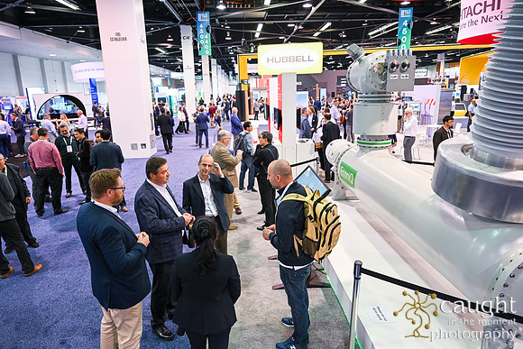 388 IEEE PES TandD Anaheim 2024