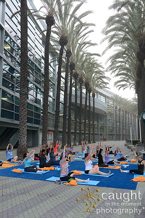 1291 OMED 2016-Yoga
