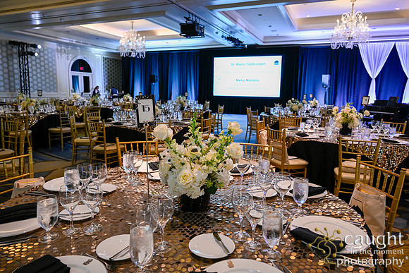 031 Foundation Gala 2024
