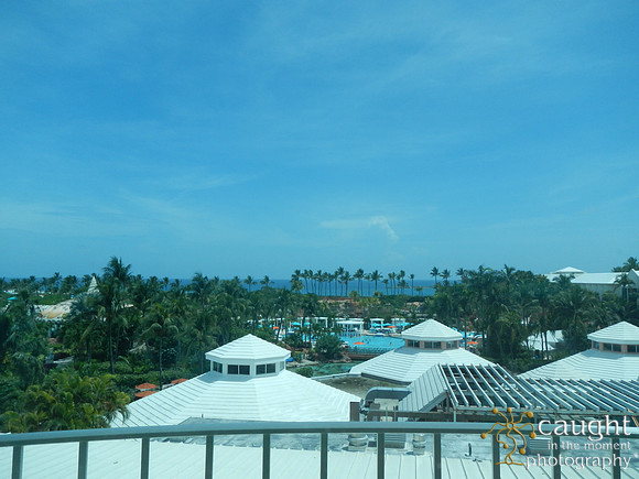 DSCN1043