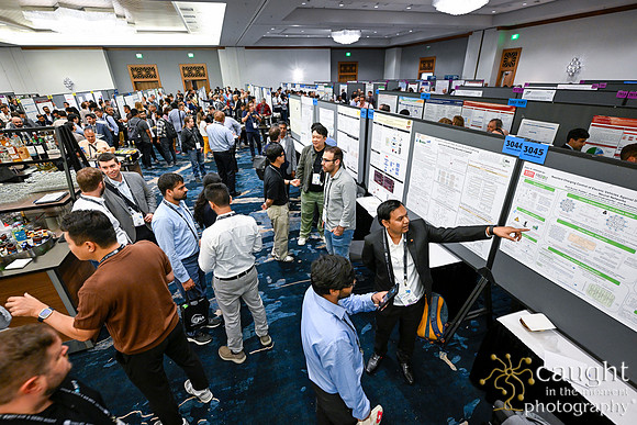 310 IEEE PES General Meeting 2025 Austin