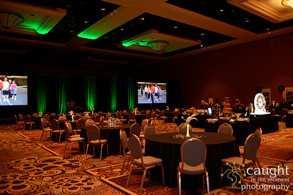 275 NRPA 2015 Gold Medal Reception