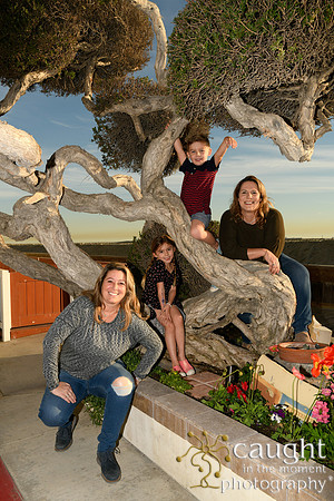 019 Bloch-Nealy Family Portraits in Long Beach