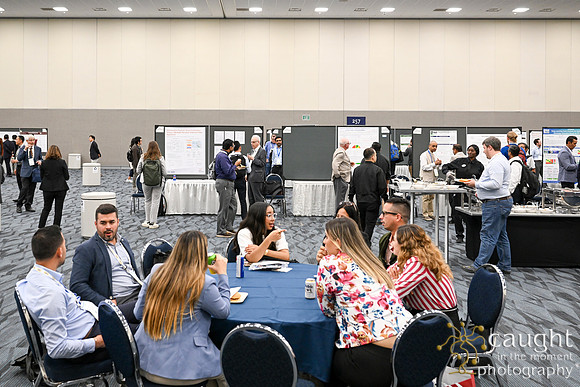 1392 IEEE PES TandD Anaheim 2024
