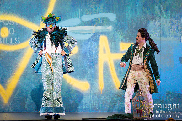 019 The Magic Flute 2025