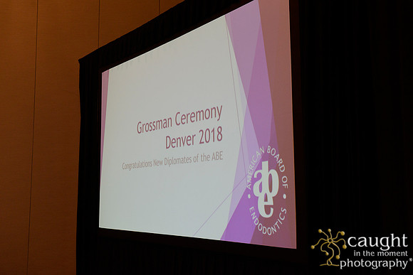 1026 AAE 2018 in Denver-Grossman Ceremony