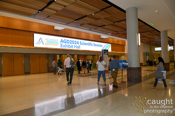 132 AGD2024 Conference in Minneapolis