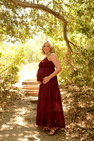 94 Maternity Portraits