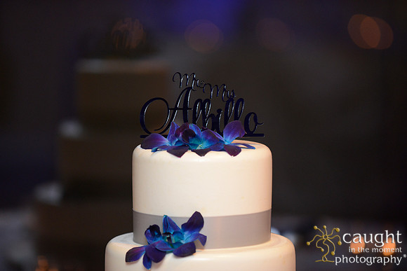 338 Hotel Maya Wedding