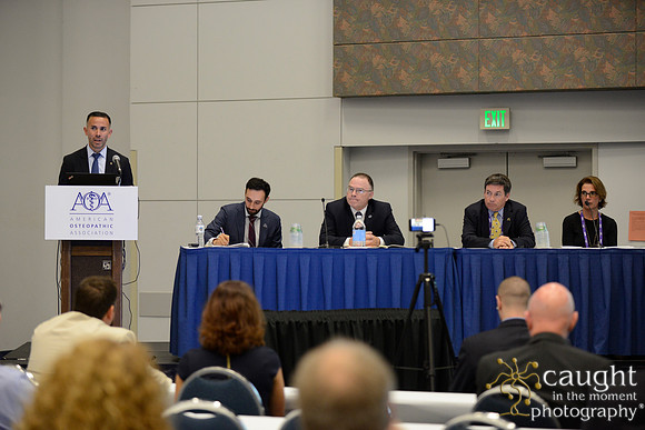 1166 OMED 2016-Public Policy Town Hall