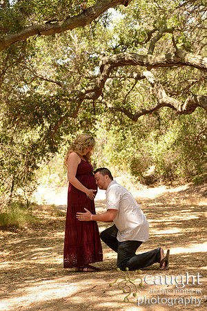 24 Maternity Portraits