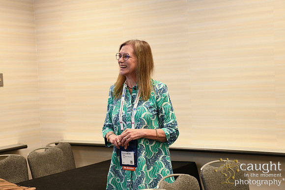 463 AOM 2024 AMC Sessions