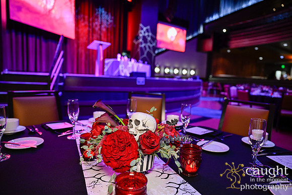 008 NPC Awards Gala 2025 Phoenix