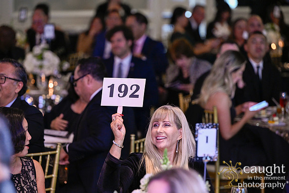 335 Foundation Gala 2024