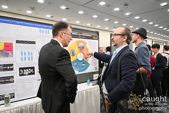 1412 IEEE PES TandD Anaheim 2024