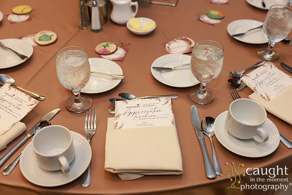 006 Memorial Medical Center Foundation Appreciation Luncheon 2024