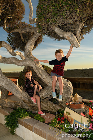 016 Bloch-Nealy Family Portraits in Long Beach