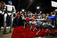 1381 IEEE ICRA 2025 Atlanta