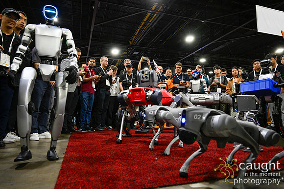 1381 IEEE ICRA 2025 Atlanta