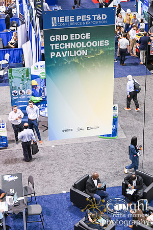 546 IEEE PES TandD Anaheim 2024