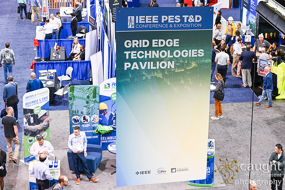 544 IEEE PES TandD Anaheim 2024