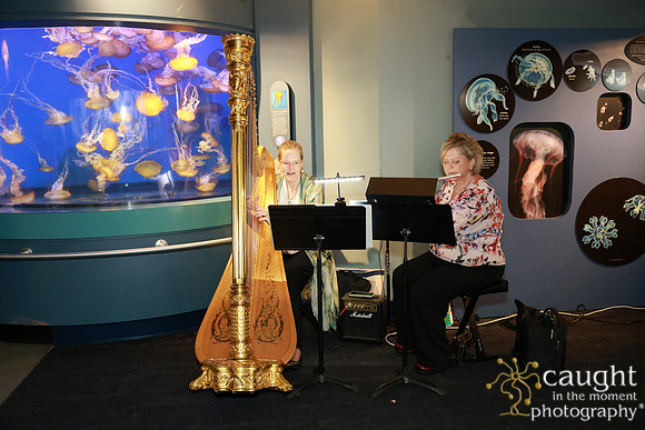 271 Aquarium of the Pacific Blue Whale Gala and After Party 2025