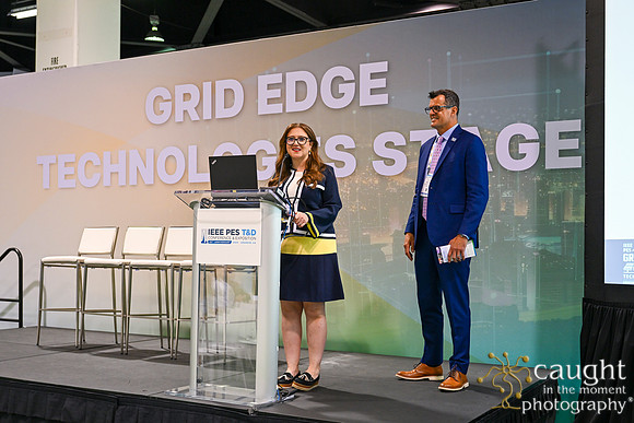595 IEEE PES TandD Anaheim 2024