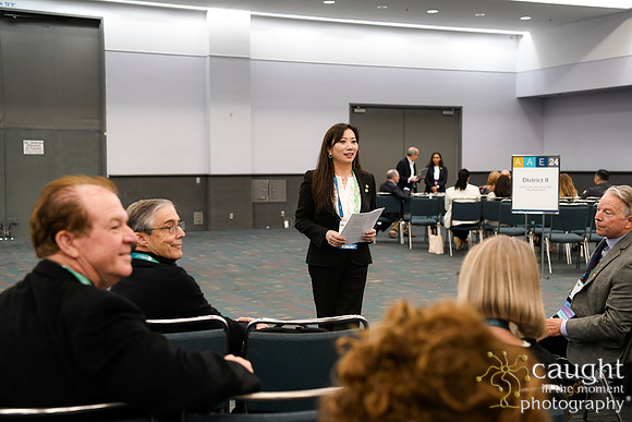 1057 AAE 2024 in Los Angeles - District Caucuses