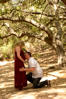20 Maternity Portraits