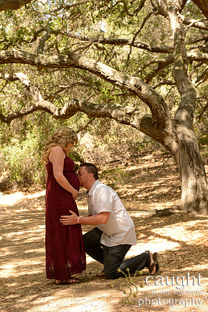 20 Maternity Portraits