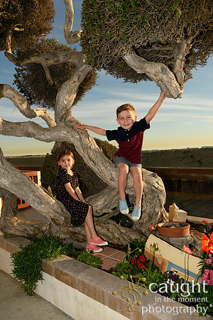 015 Bloch-Nealy Family Portraits in Long Beach
