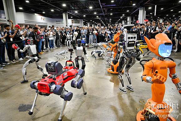 1415 IEEE ICRA 2025 Atlanta