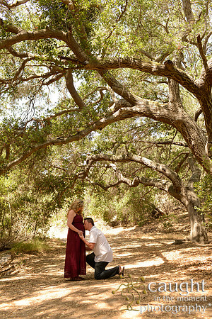 26 Maternity Portraits