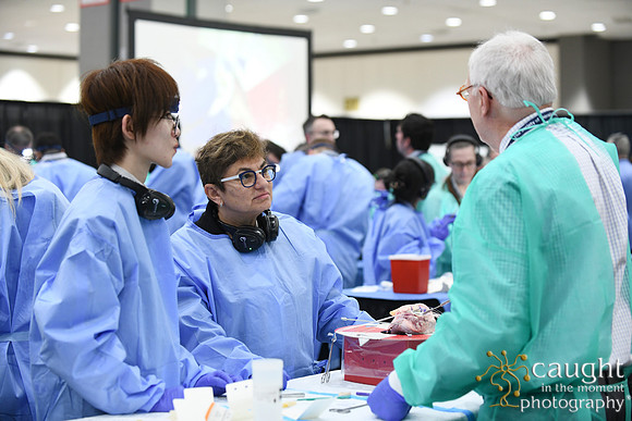 913 STS2025-Hands-On Courses