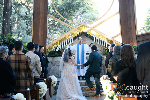303 Castellon Wedding at Wayfarers Chapel and Long Beach Museum of Art