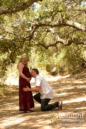 22 Maternity Portraits