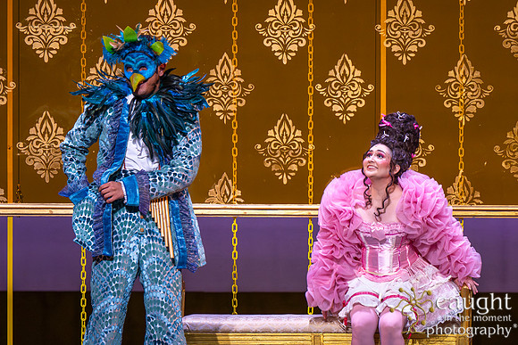 051 The Magic Flute 2025