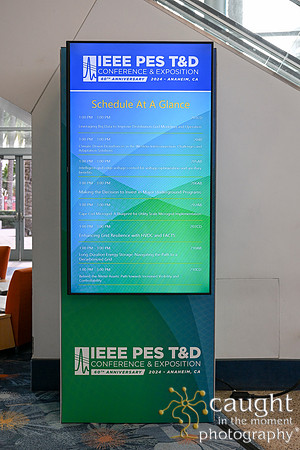 026 IEEE PES TandD Anaheim 2024