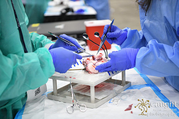 932 STS2025-Hands-On Courses