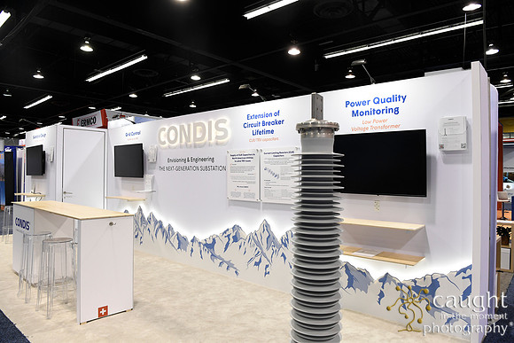 058 IEEE PES T&D 2024-Condis