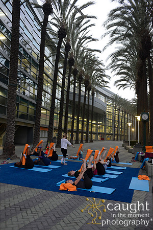 1288 OMED 2016-Yoga