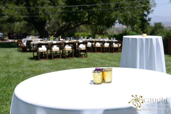 21 Solvang Wedding