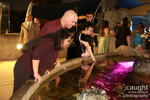 290 Aquarium of the Pacific Blue Whale Gala and After Party 2025
